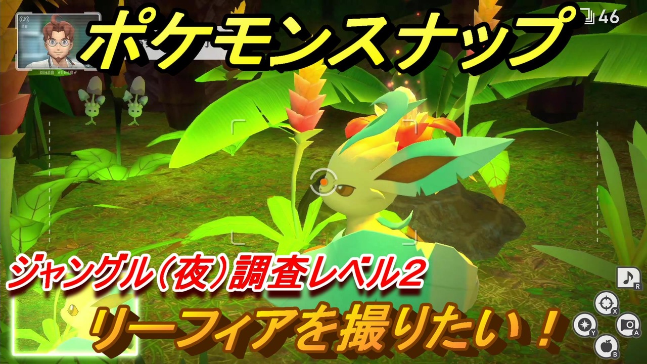 ポケモンスナップ リーフィアを撮りたい ジャングル 夜 調査レベル２ New ポケモンスナップ ニコニコ動画