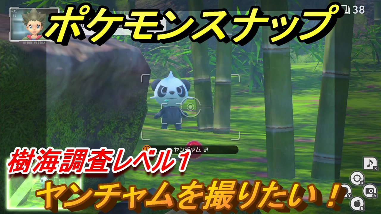 ポケモンスナップ ヤンチャムを撮りたい 樹海調査レベル１ New ポケモンスナップ ニコニコ動画