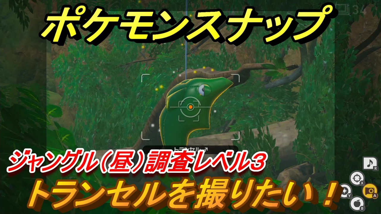 ポケモンスナップ トランセルを撮りたい ジャングル 昼 調査レベル３ New ポケモンスナップ ニコニコ動画