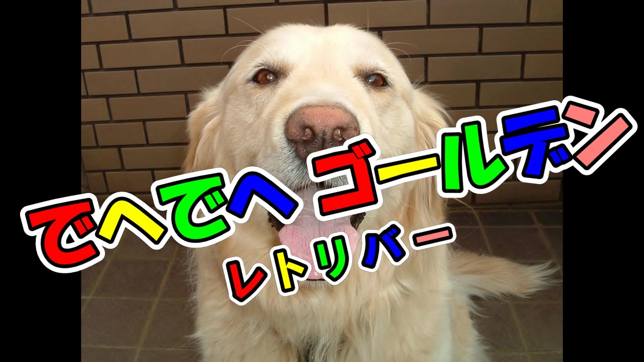 人気の Vocaloidわんこ入り 動画 137本 ニコニコ動画