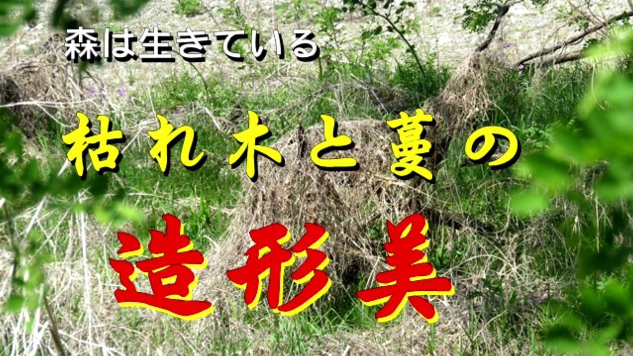 人気の 森は生きている 動画 8本 ニコニコ動画