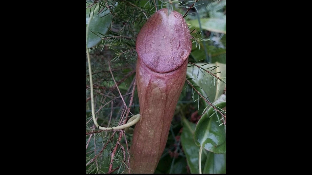 面白い画像 爆笑 腹筋崩壊
