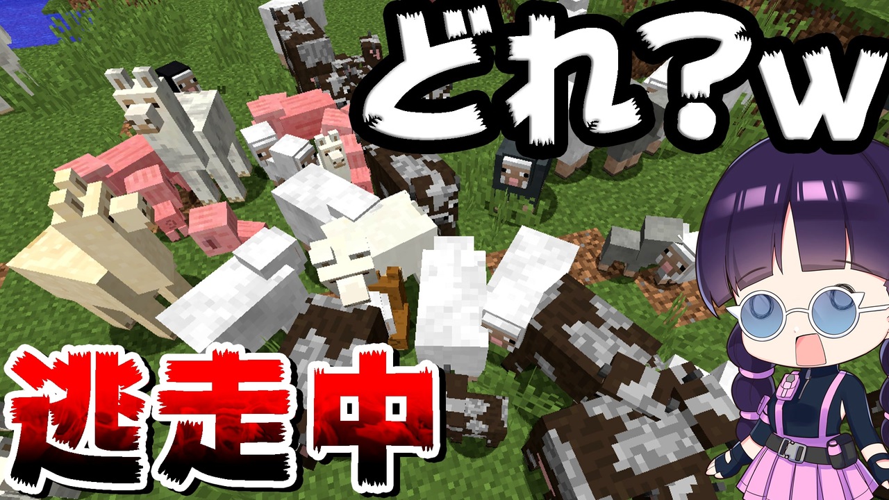 マイクラ 動物に変身できるmodでの逃走中が難しすぎたｗ ゆっくり実況 マインクラフト Minecraft ニコニコ動画