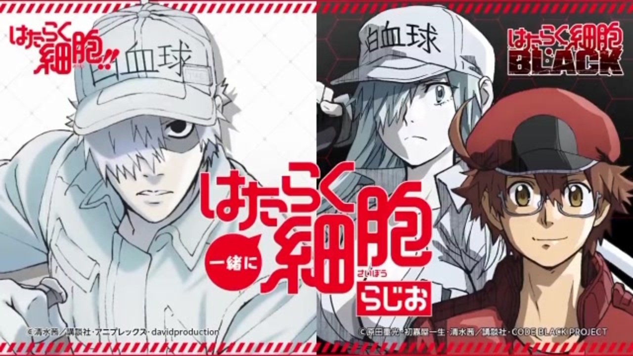 人気の 石田彰 ラジオ 動画 163本 ニコニコ動画