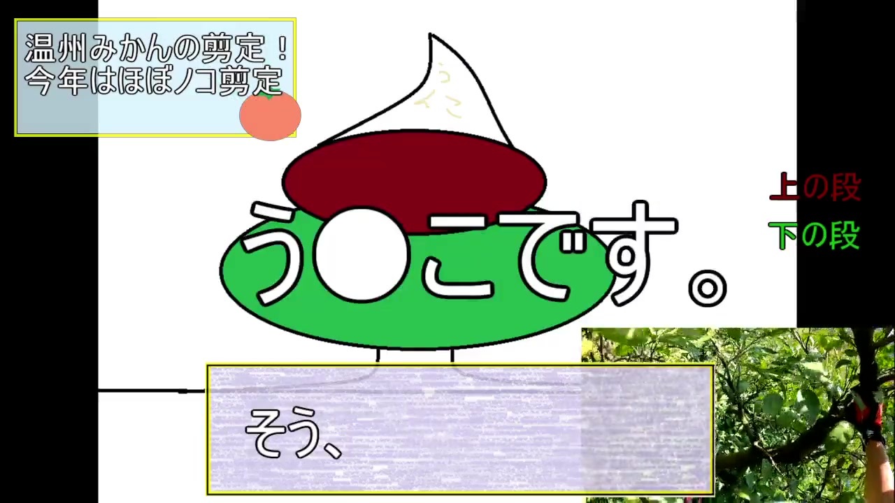 農業 みかんの木を剪定してみた ニコニコ動画