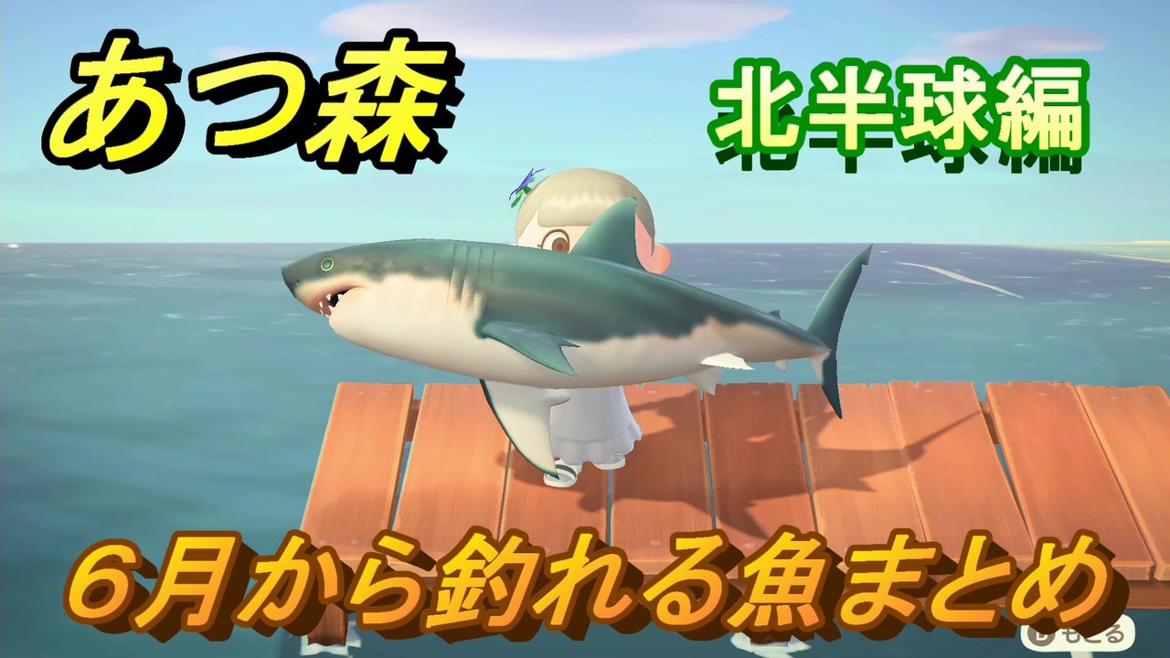 あつまれどうぶつの森 ６月から釣れる魚まとめ 釣れる場所と時間帯も紹介 北半球編 あつ森 ニコニコ動画