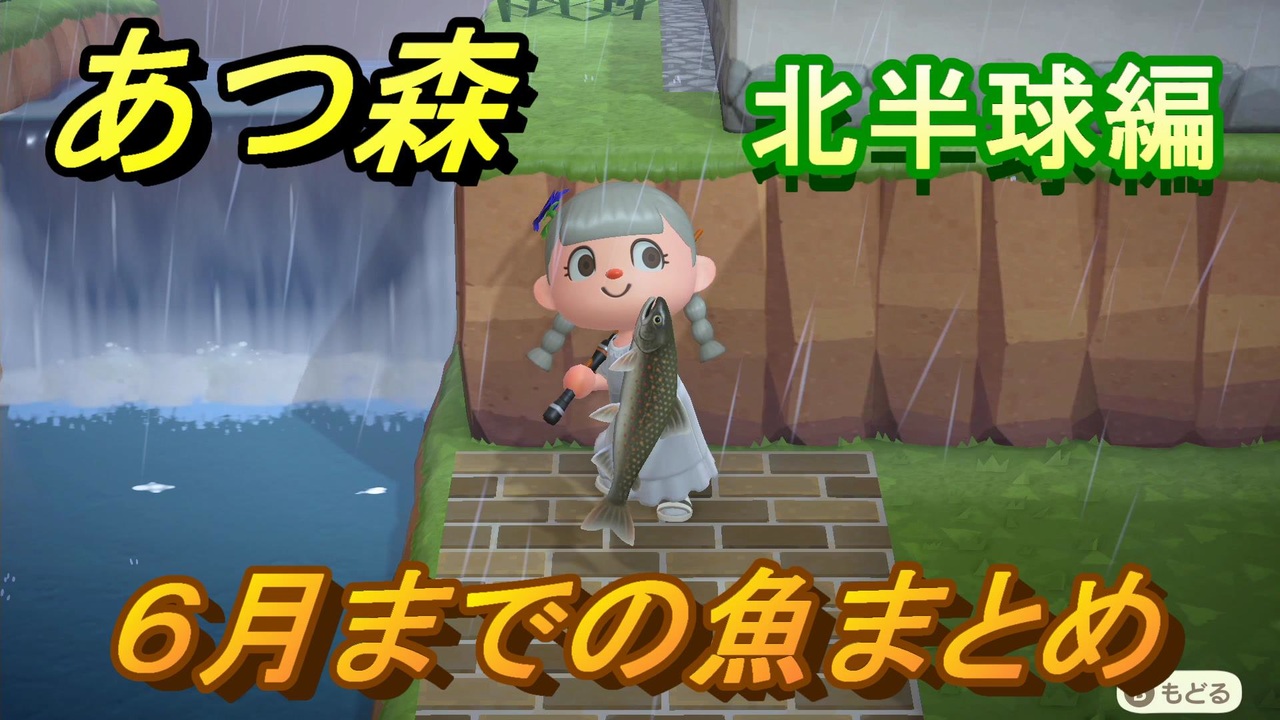 あつまれどうぶつの森 ６月までの魚まとめ 場所と時間帯も紹介 北半球編 魚図鑑コンプのために あつ森 ニコニコ動画