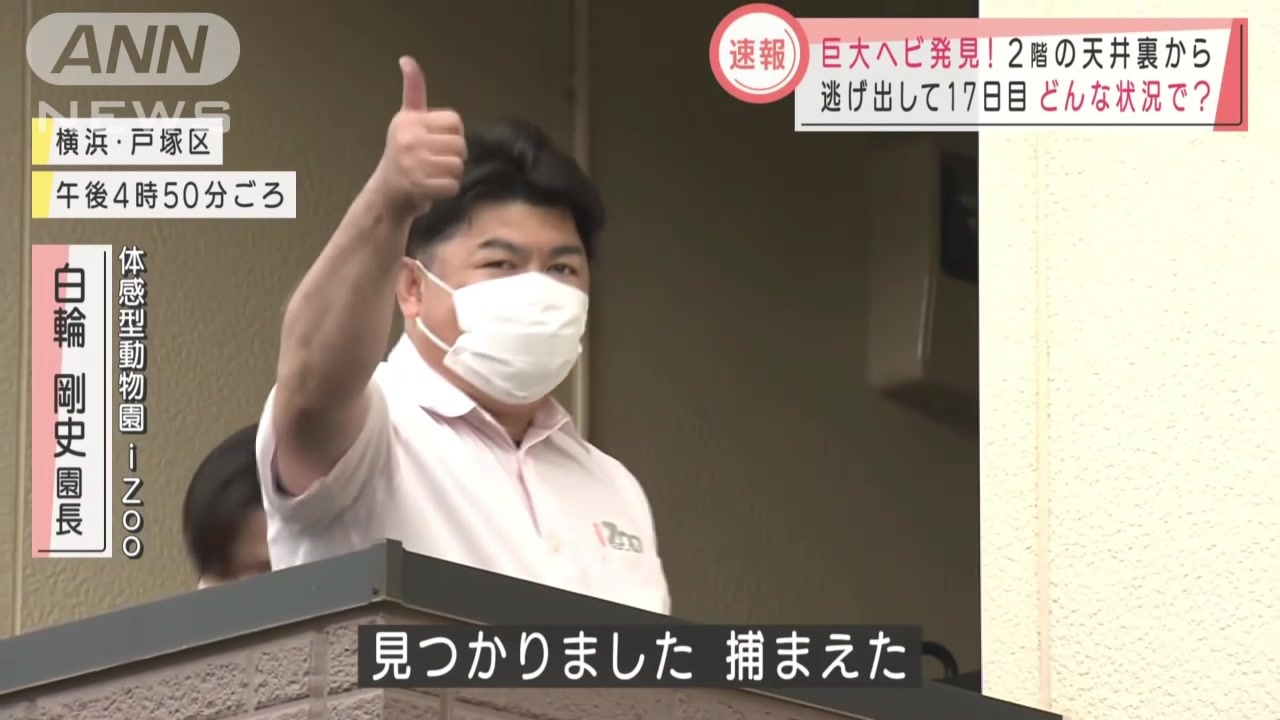 ニシキヘビに完全勝利した白輪剛史園長 ガンダムuc ニコニコ動画