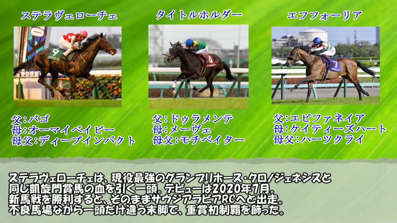 人気の 競馬 動画 6 525本 24 ニコニコ動画