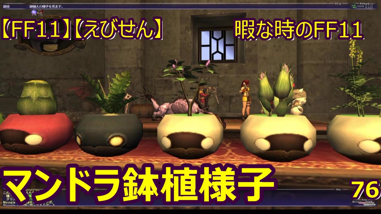 Ff11 えびせん 暇な時のff11 マンドラ鉢植様子 76 ニコニコ動画