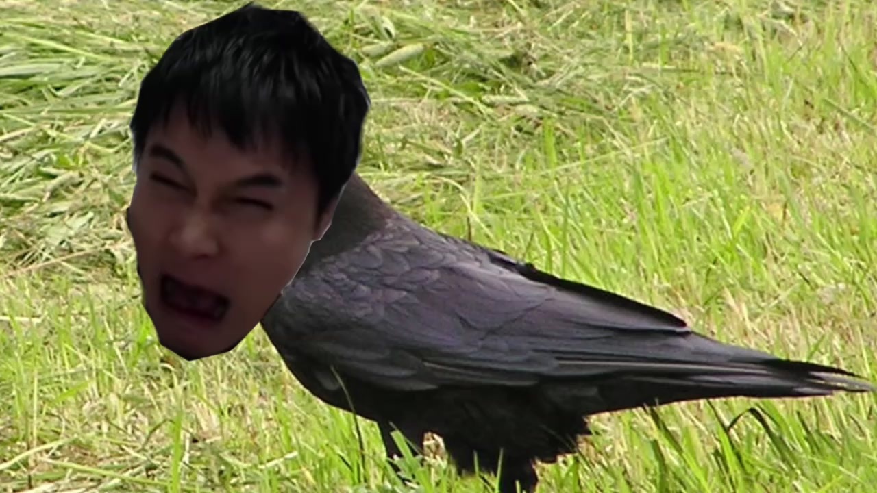 人気の 動物 加藤純一 動画 84本 ニコニコ動画