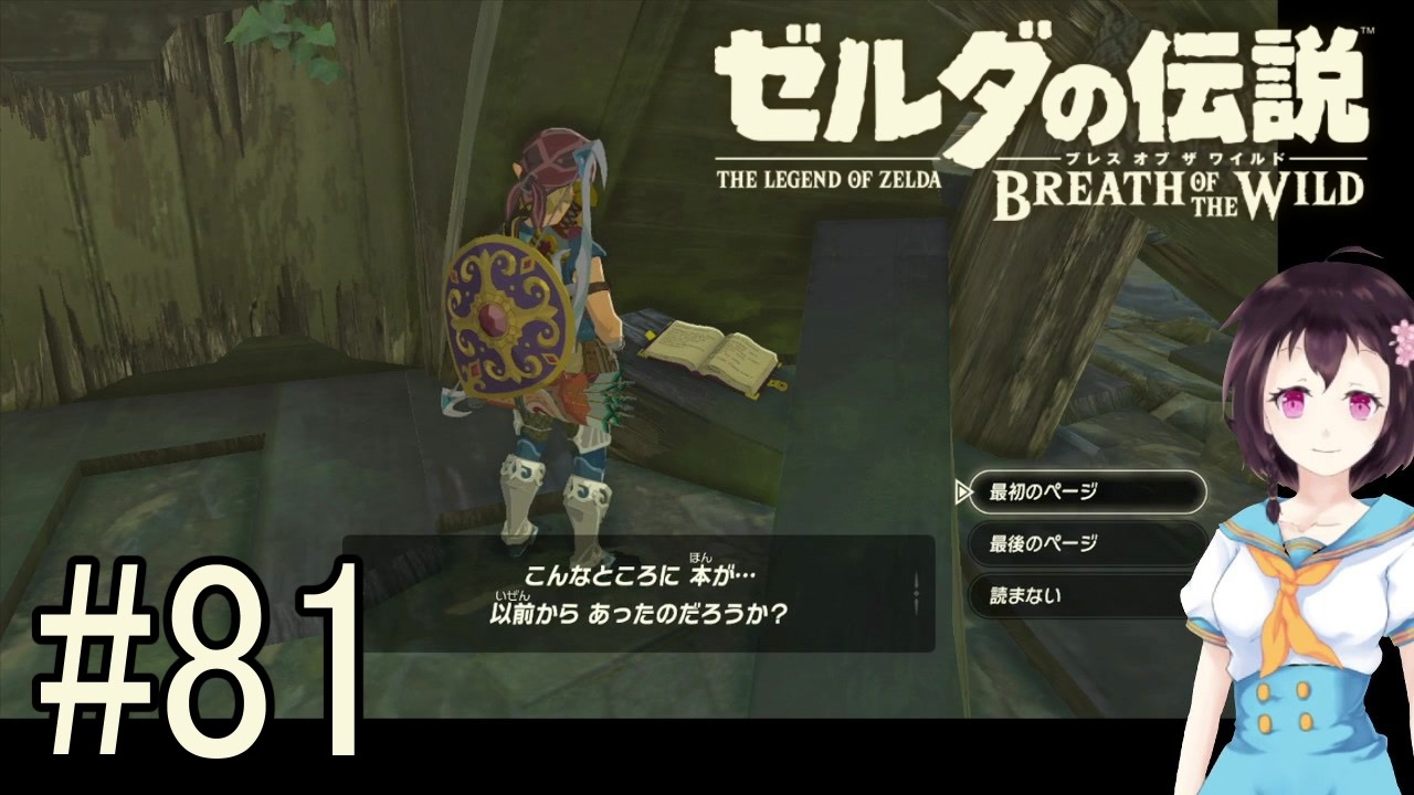 人気の ｾﾞﾙﾀﾞの伝説 動画 37 214本 41 ニコニコ動画
