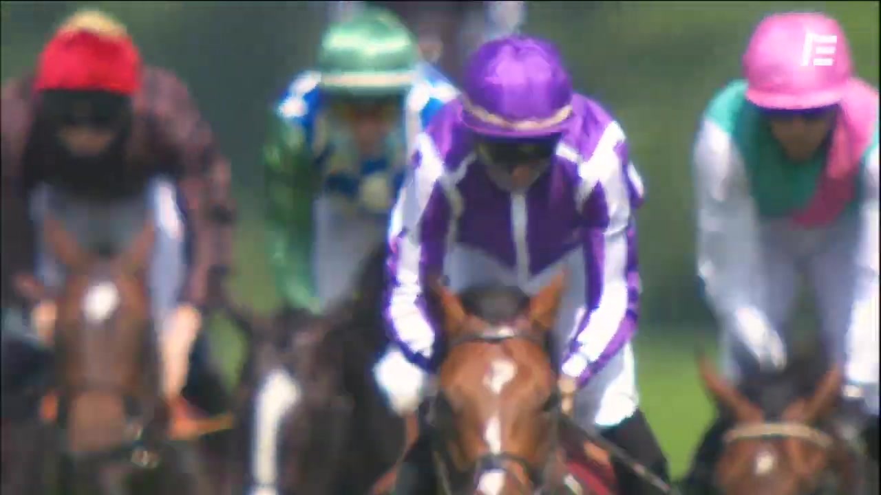 人気の 仏ダービー 動画 15本 ニコニコ動画