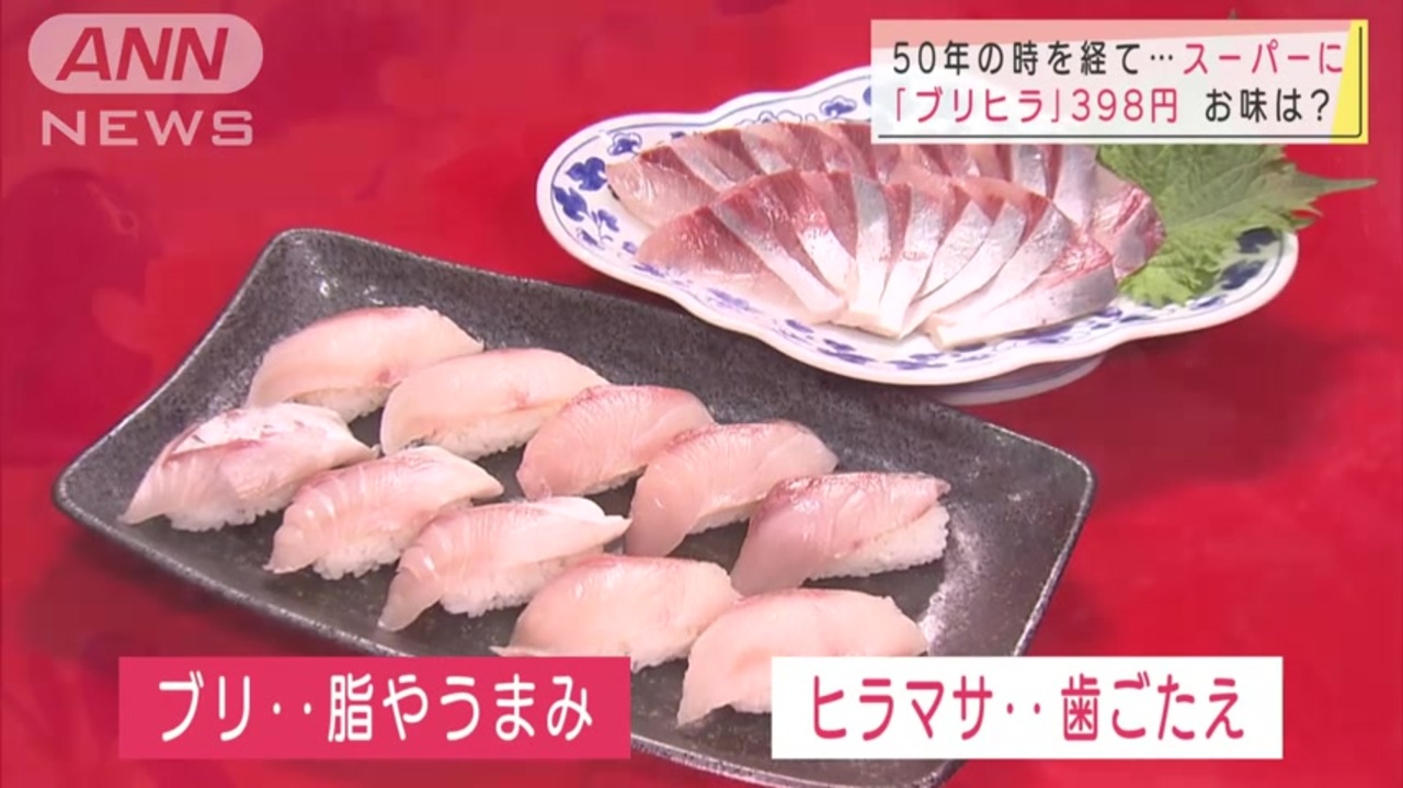 ブリ ヒラマサ ブリヒラ 注目の魚 本格販売へ ニコニコ動画