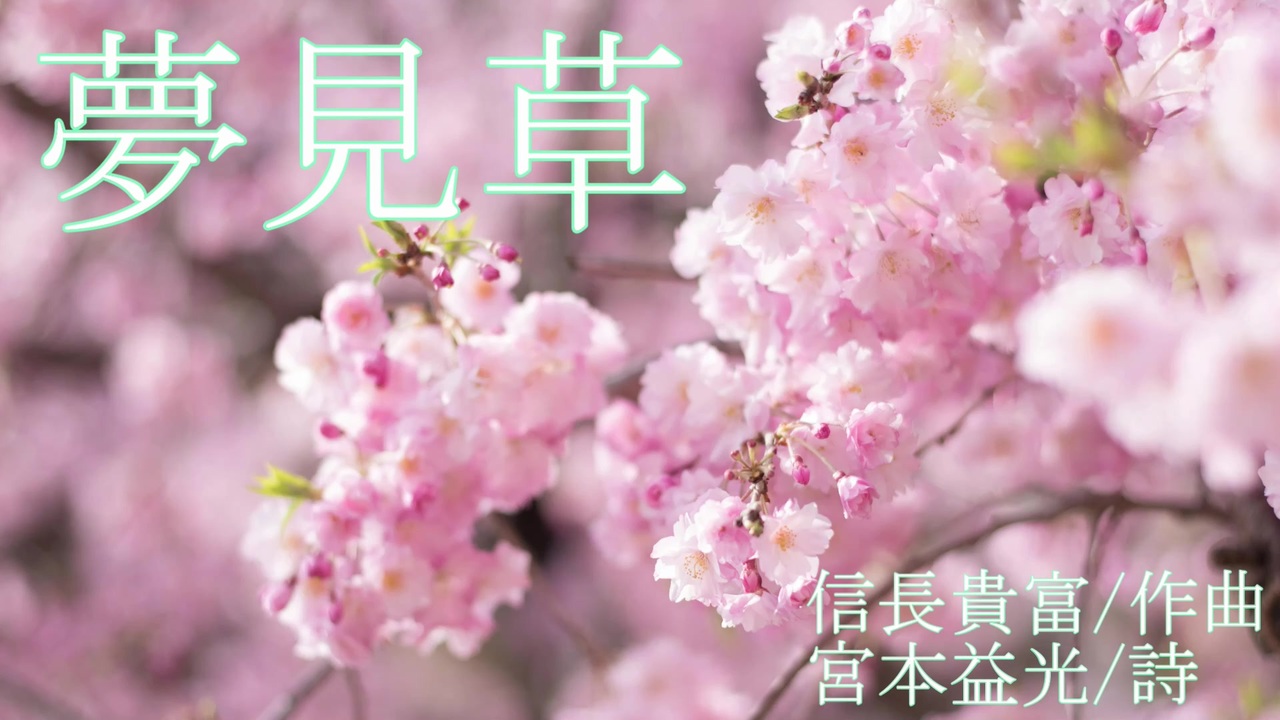 Cevio 夢見草 One ニコニコ動画