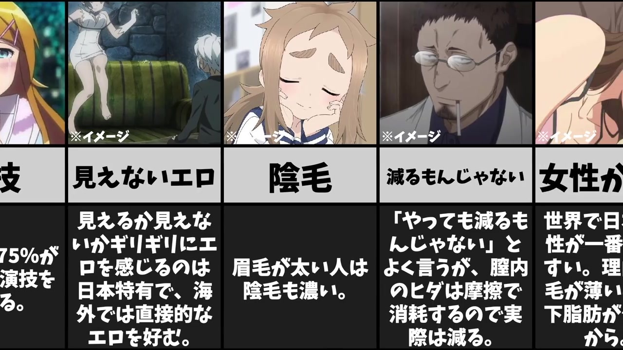 知らないと損する性の雑学 アニメ ニコニコ動画