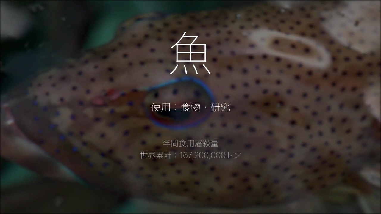 人気の 失われた野生 動画 3 080本 5 ニコニコ動画