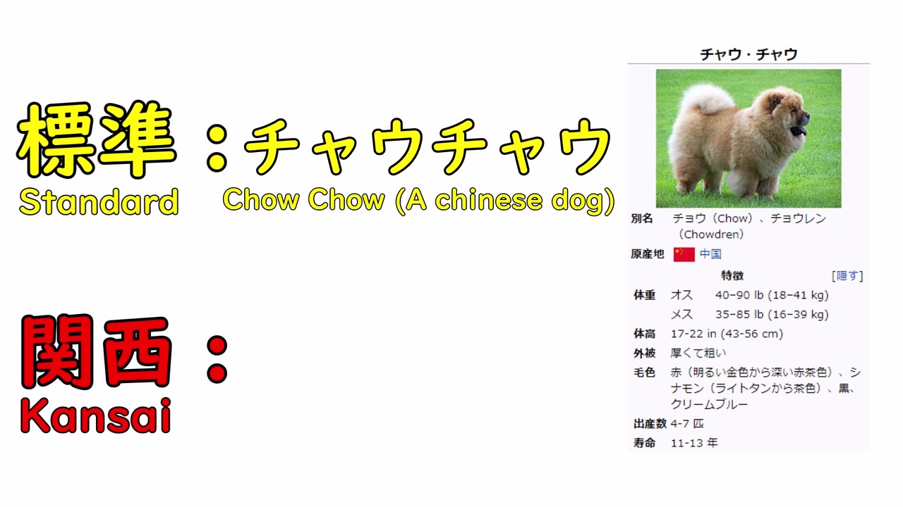 人気の チャウチャウ犬 動画 2本 ニコニコ動画