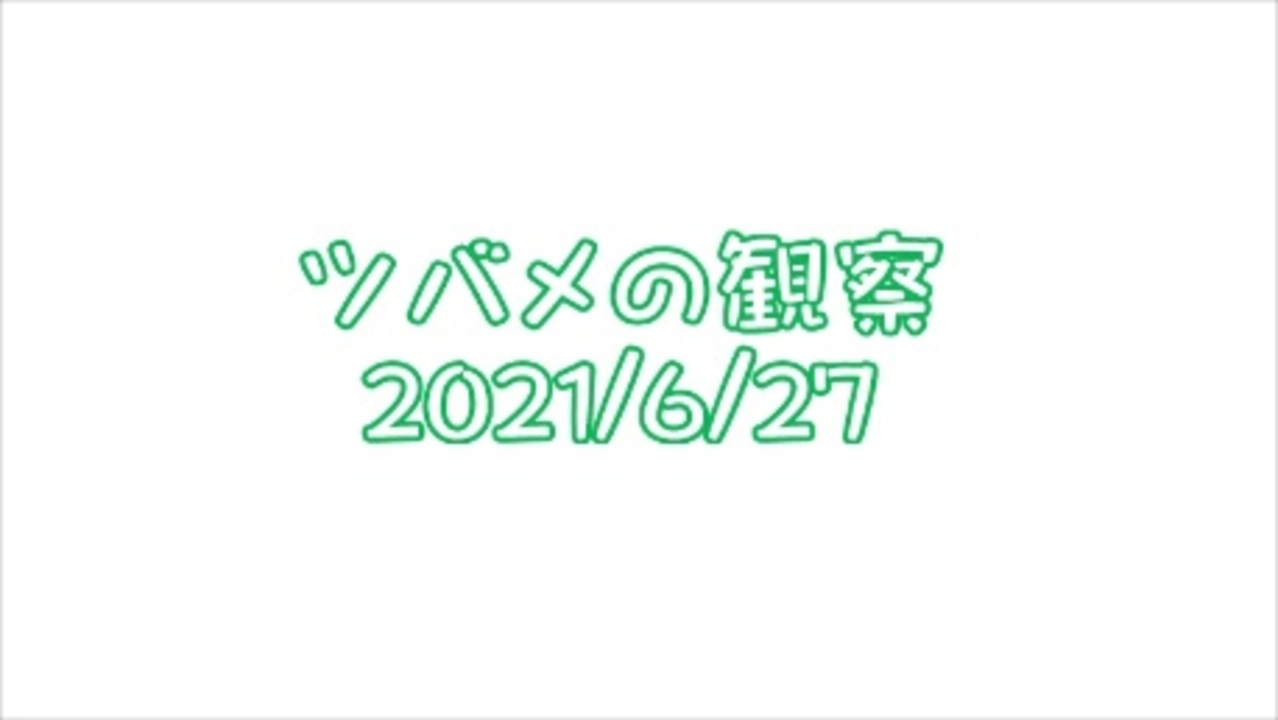 人気の 巣立ち 動画 40本 ニコニコ動画