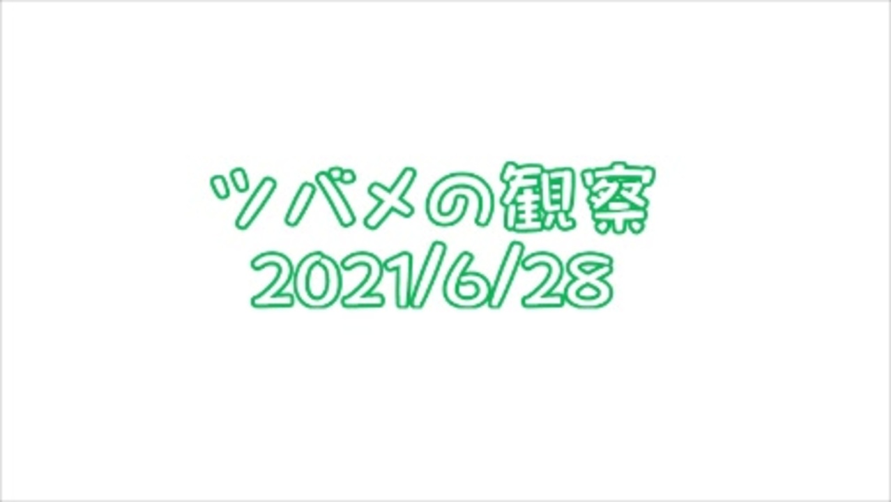 人気の 巣立ちの歌 動画 38本 ニコニコ動画