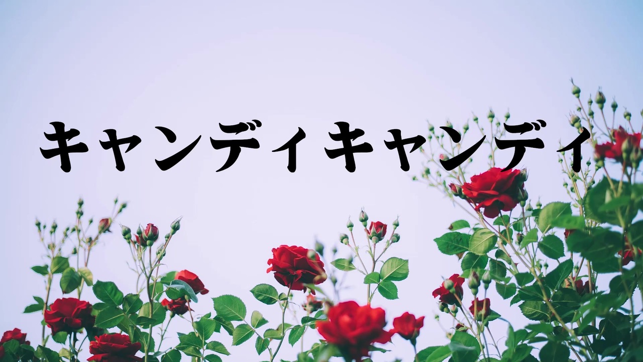 人気の アニソン キャンディキャンディ 動画 11本 ニコニコ動画