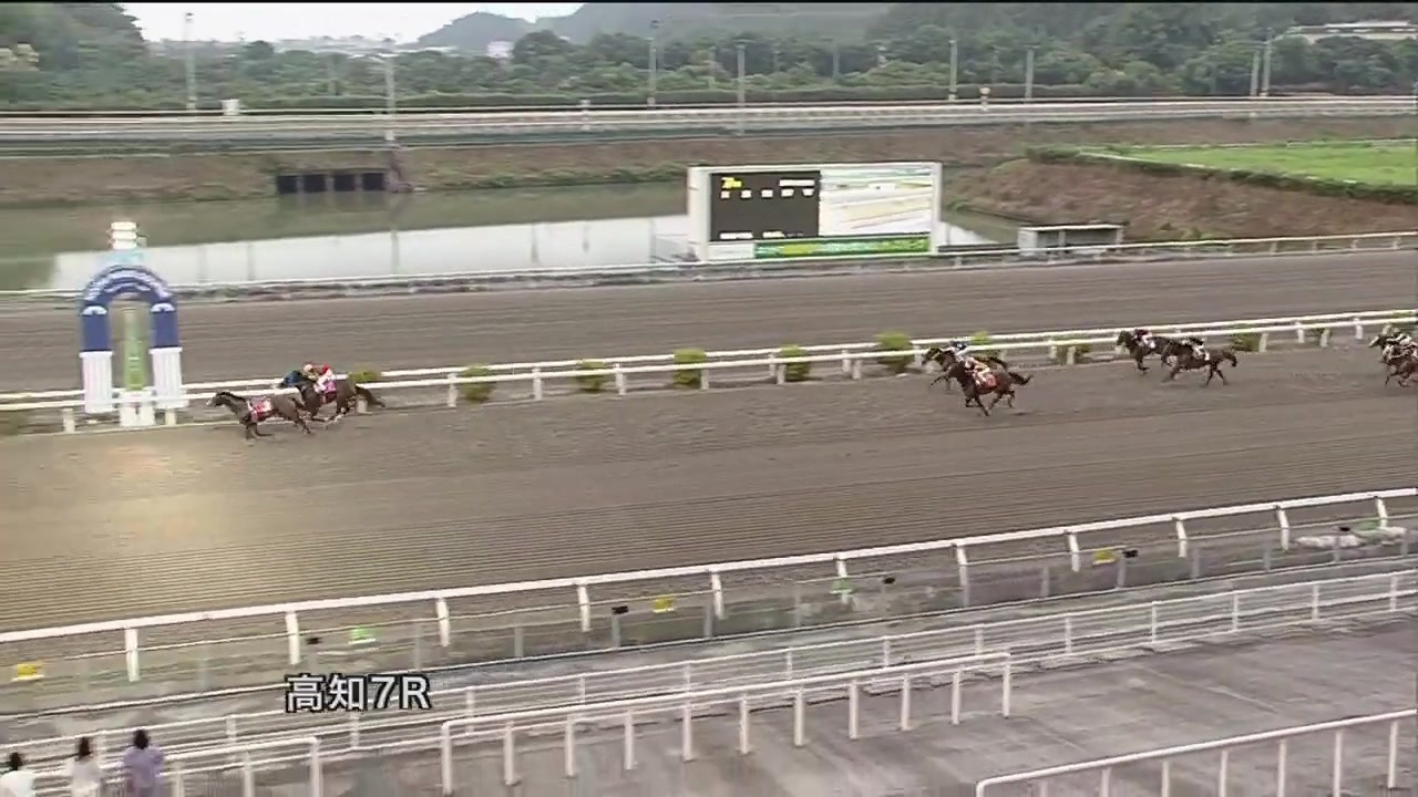 人気の 高知競馬 動画 36本 2 ニコニコ動画