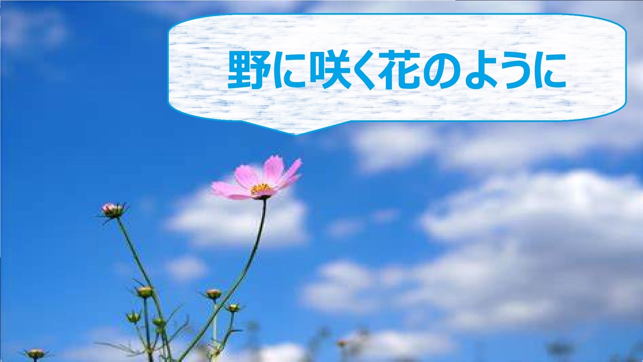 人気の 野に咲く花のように 動画 72本 ニコニコ動画