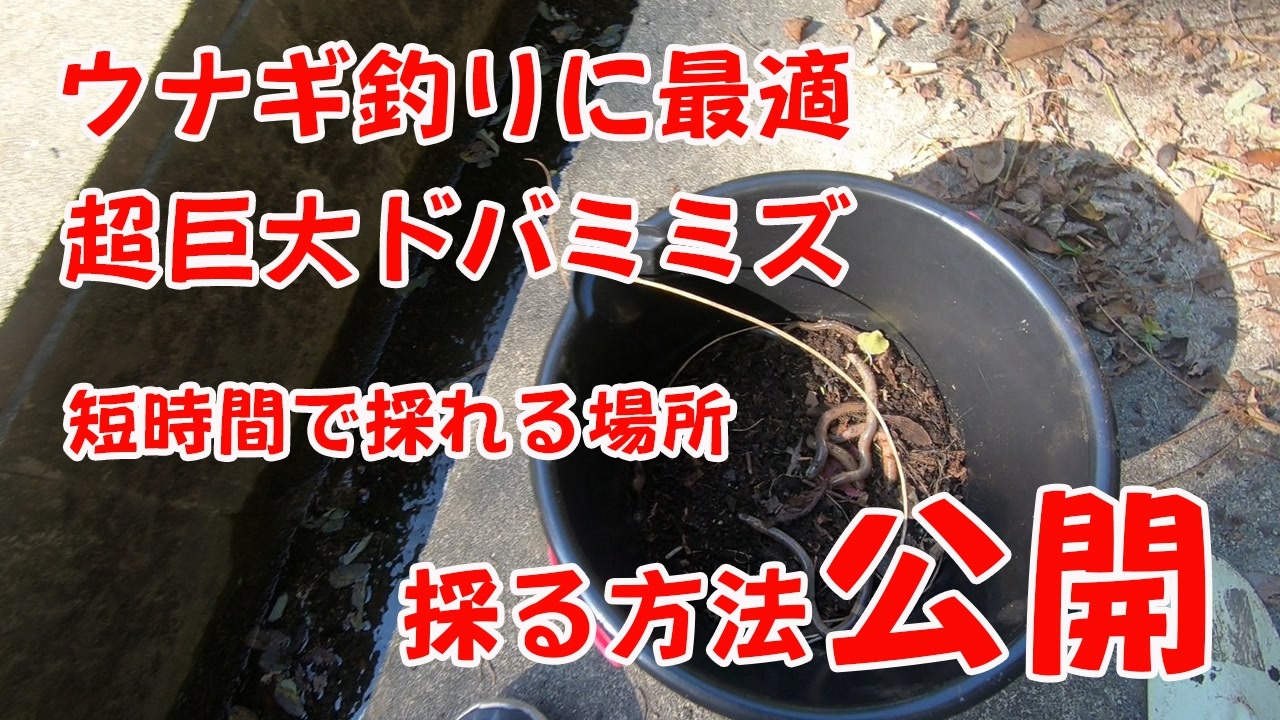 人気の うなぎ釣り 動画 32本 ニコニコ動画