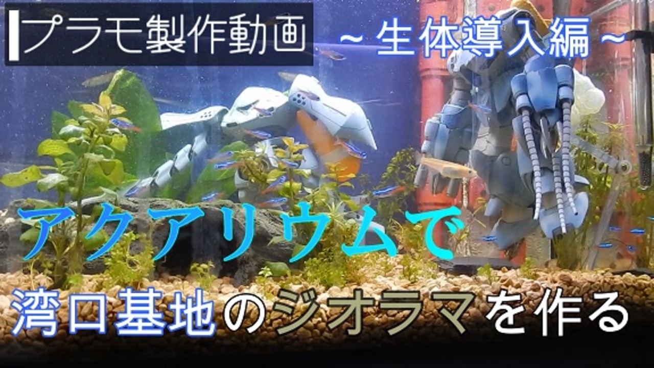 プラモ製作 アクアリウムで湾口基地のガンプラジオラマを作る 生体導入編 ニコニコ動画