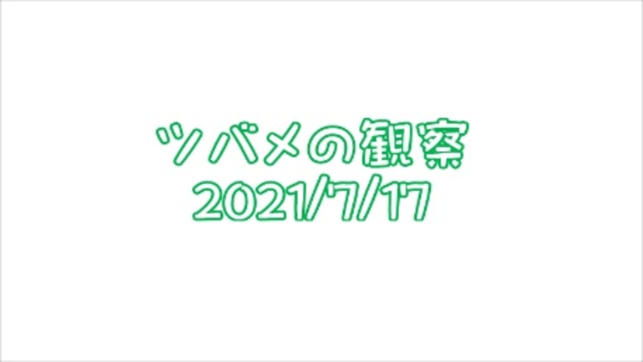 人気の 親子クラブ 動画 5本 ニコニコ動画