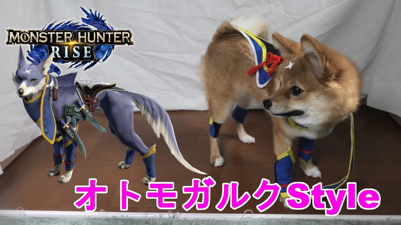 コスプレ犬つくねのオトモガルク 衣装作成 コスプレ動画 ニコニコ動画
