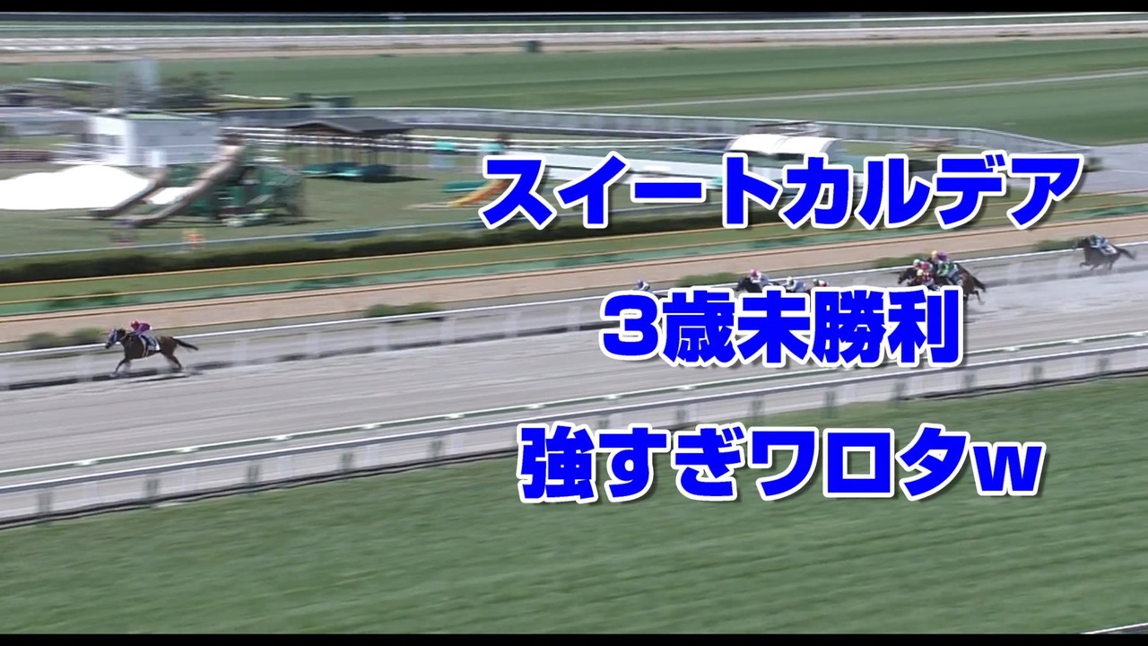 人気の 競馬場の達人 動画 3本 ニコニコ動画