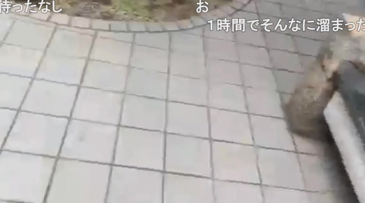 録画_2019_12_24_03_07_42_164 - ニコニコ動画