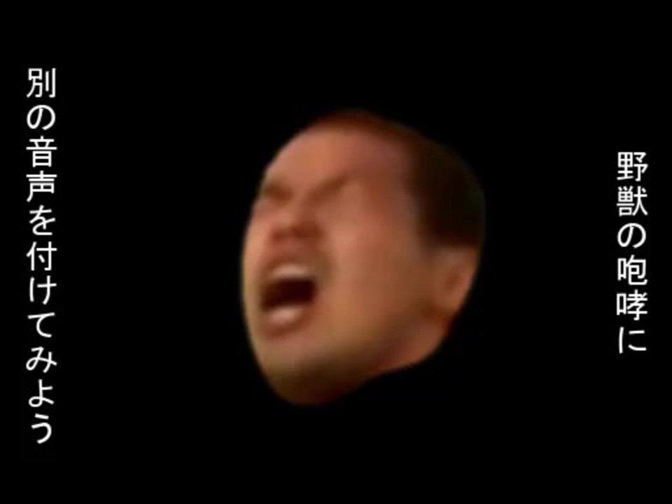 人気の ンアッー 動画 56本 ニコニコ動画