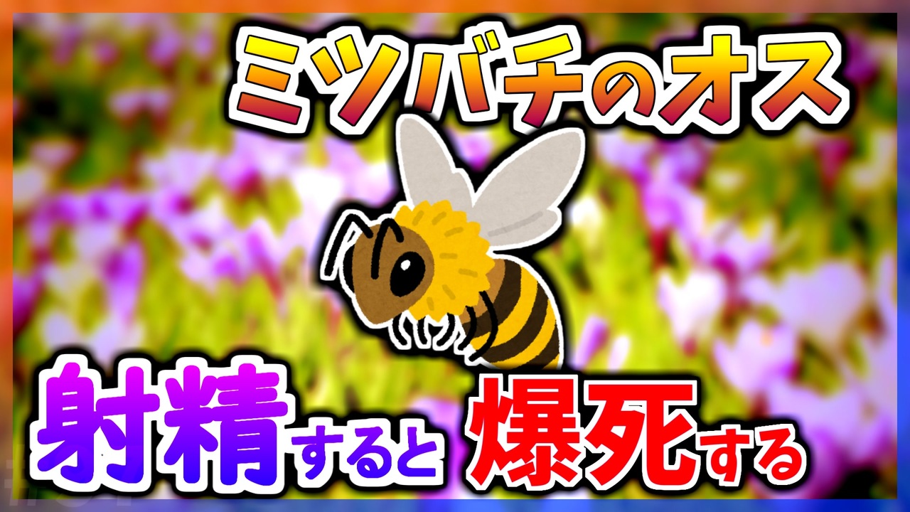 昆虫と花とイチゴ ヴィンテージ ステンドグラス 蜻蛉 ミツバチ 蝶々