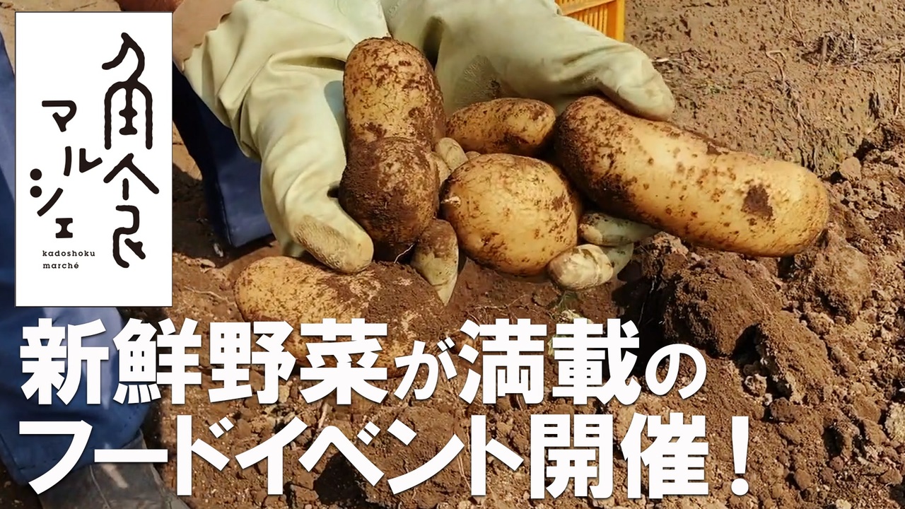 人気の ジャガイモ 動画 951本 ニコニコ動画