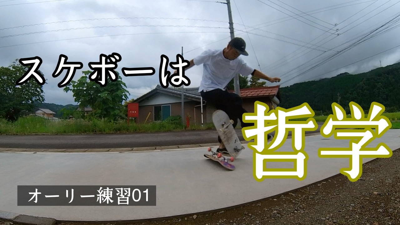 人気の スケート3 動画 68本 ニコニコ動画