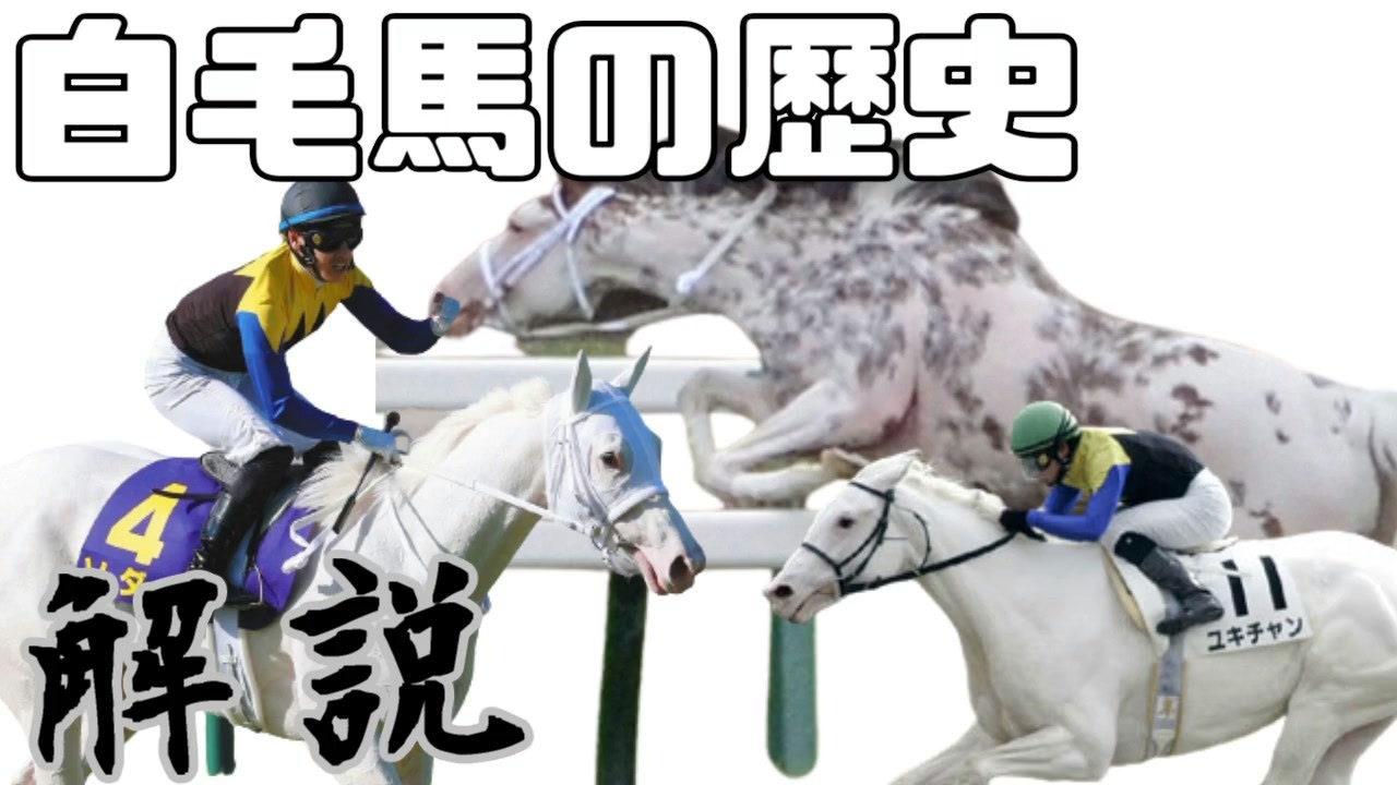 ソダシ ブチコ ユキチャン 白毛馬の歴史を解説 ゆっくり解説 ニコニコ動画