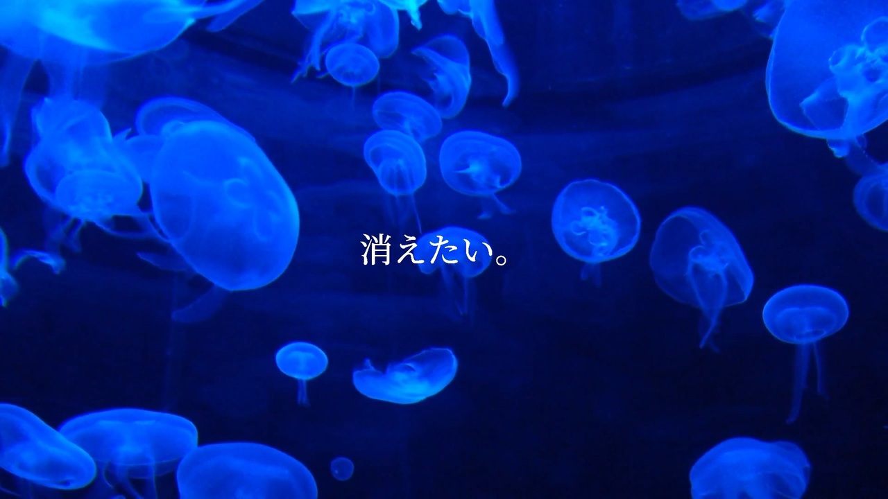 クラゲ 初音ミク ニコニコ動画