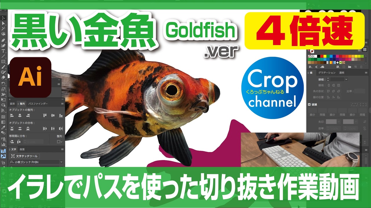 イラストレーター Adobe Illustrator によるパスの切り抜き作業動画 黒い金魚 Ver 手元操作動画付き 早回し ダイジェスト 4倍速 ニコニコ動画