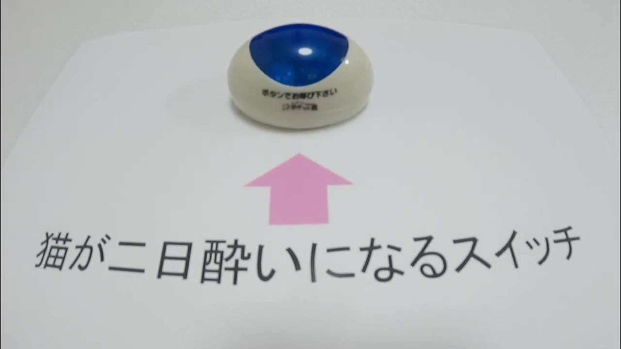 最速 エンダァーーー 意味