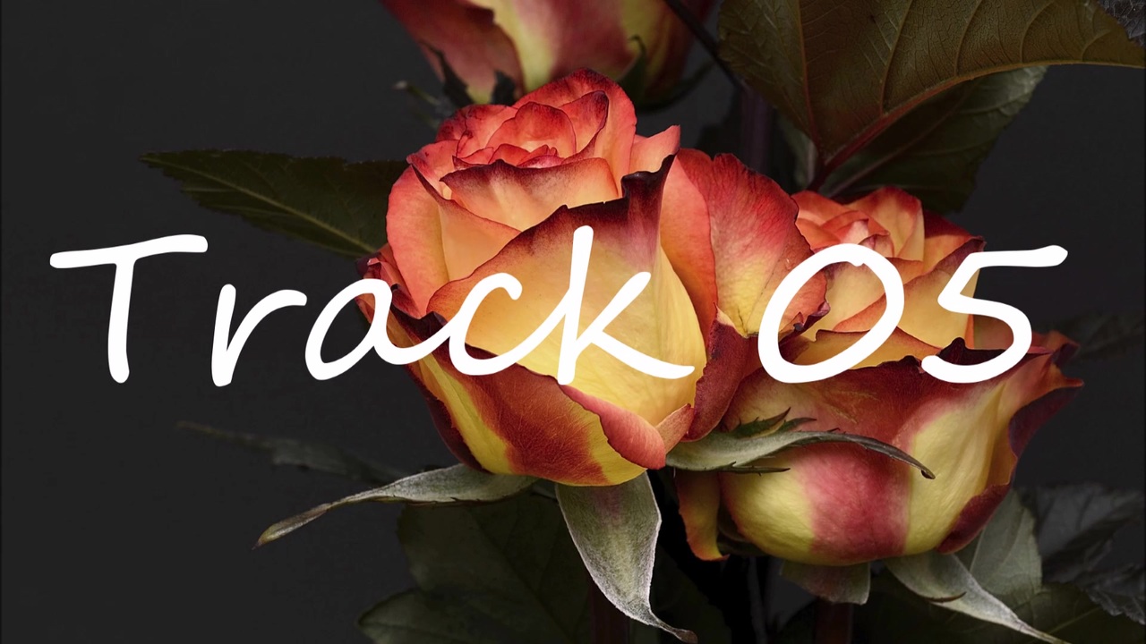 【FreeTrack／フリートラック】「hiphop」「chillout」著作権・ロイヤリティーフリー／beat／ビート／free download／フリーダウンロード／inst／インスト／tk-05 - ニコニコ動画