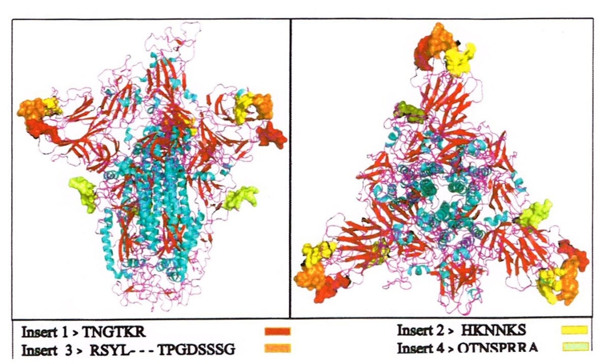 4種のHIVウイルス原型分子構造inコロナウイルス!!!武漢研究所発キメラ生物兵器 2021.03.31