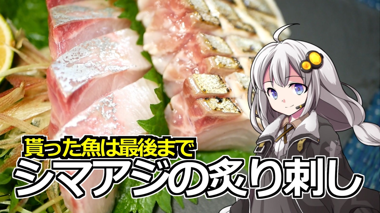 釣れなくても料理 シマアジの炙り刺し Voiceroidキッチン ニコニコ動画