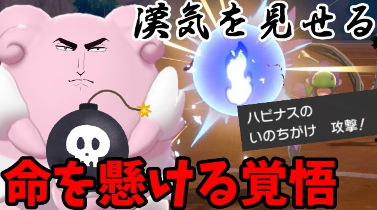 実況 ポケモン剣盾でたわむれる 大体全員即死 命を懸けるハピナス ニコニコ動画