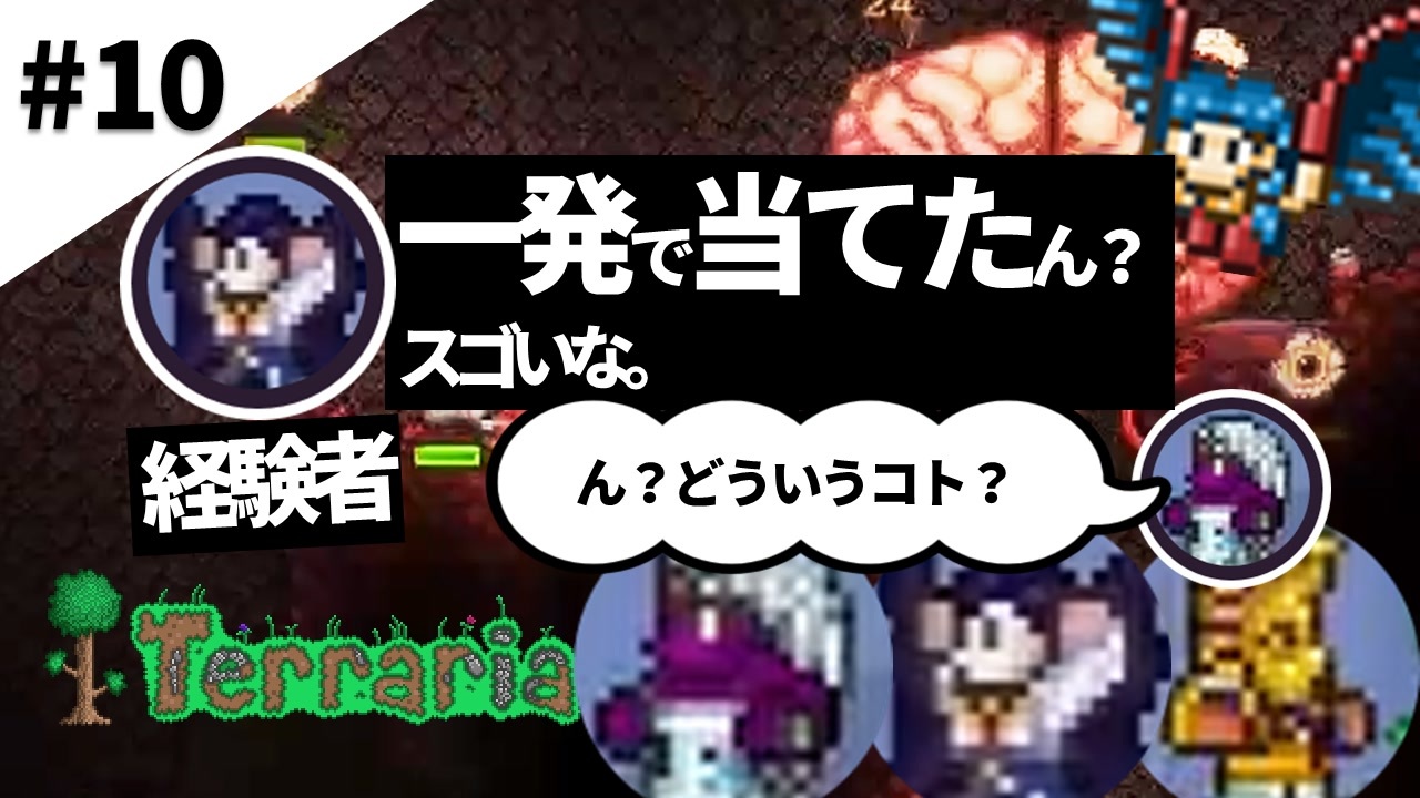 人気の Terrariaマルチプレイ実況 動画 67本 ニコニコ動画
