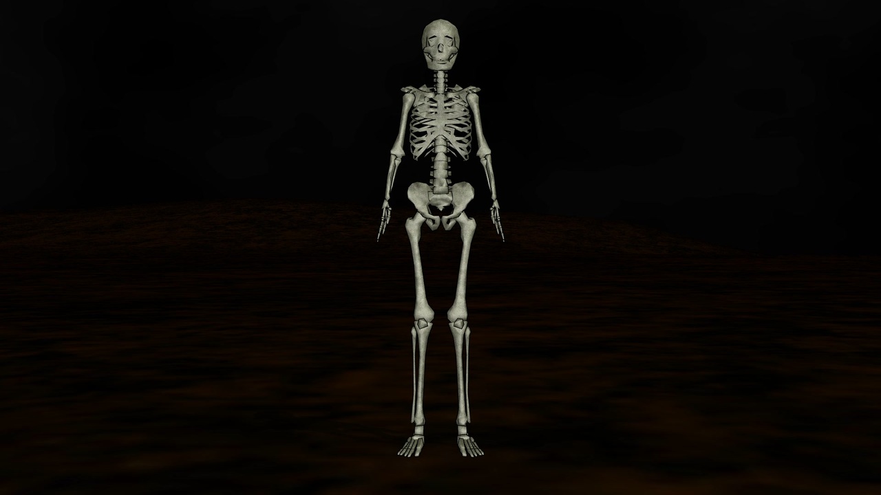 【MMD】Skeleton (2021 Edition) - ニコニコ動画