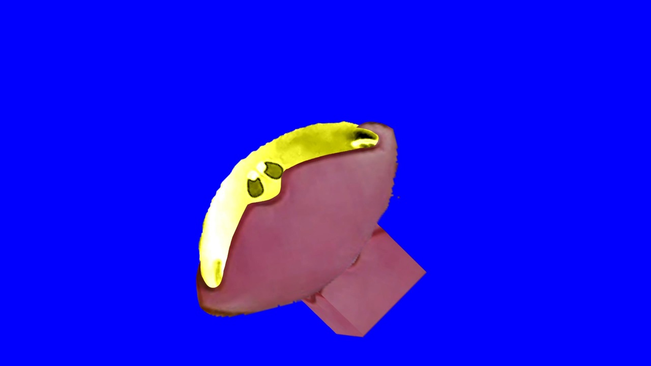 人気の パップラドンカルメ 動画 199本 ニコニコ動画