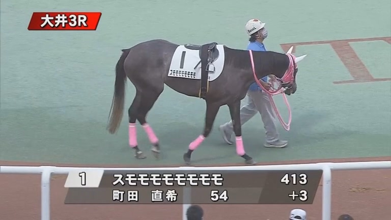 スモモモモモモモモ デビューから12戦目でついに初勝利！【2021年11月1