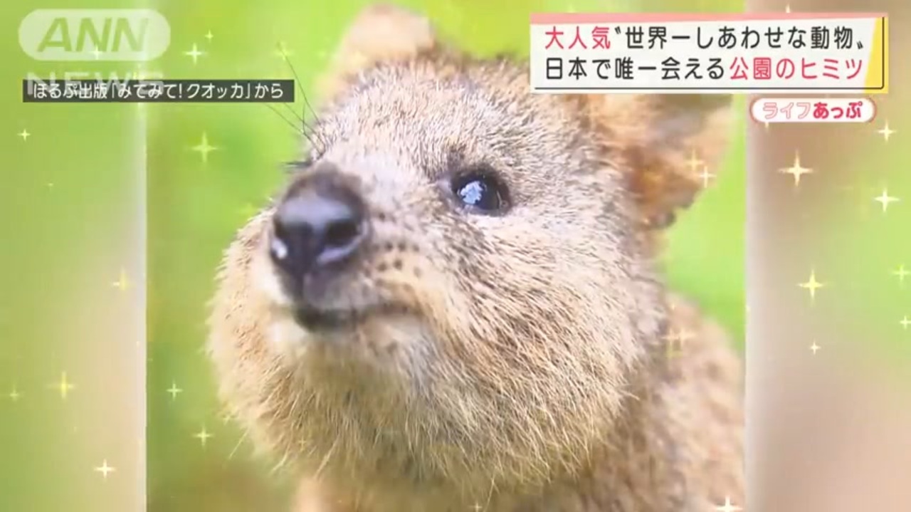 世界一しあわせな動物 に会える国内唯一の動物園 ニコニコ動画